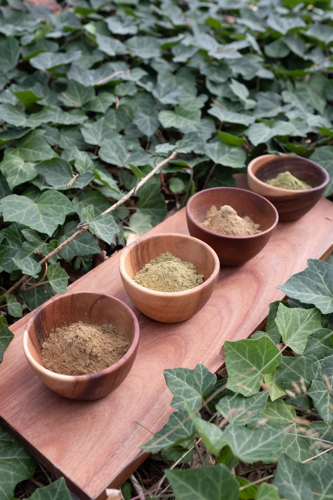 Kratomspecialisten-20