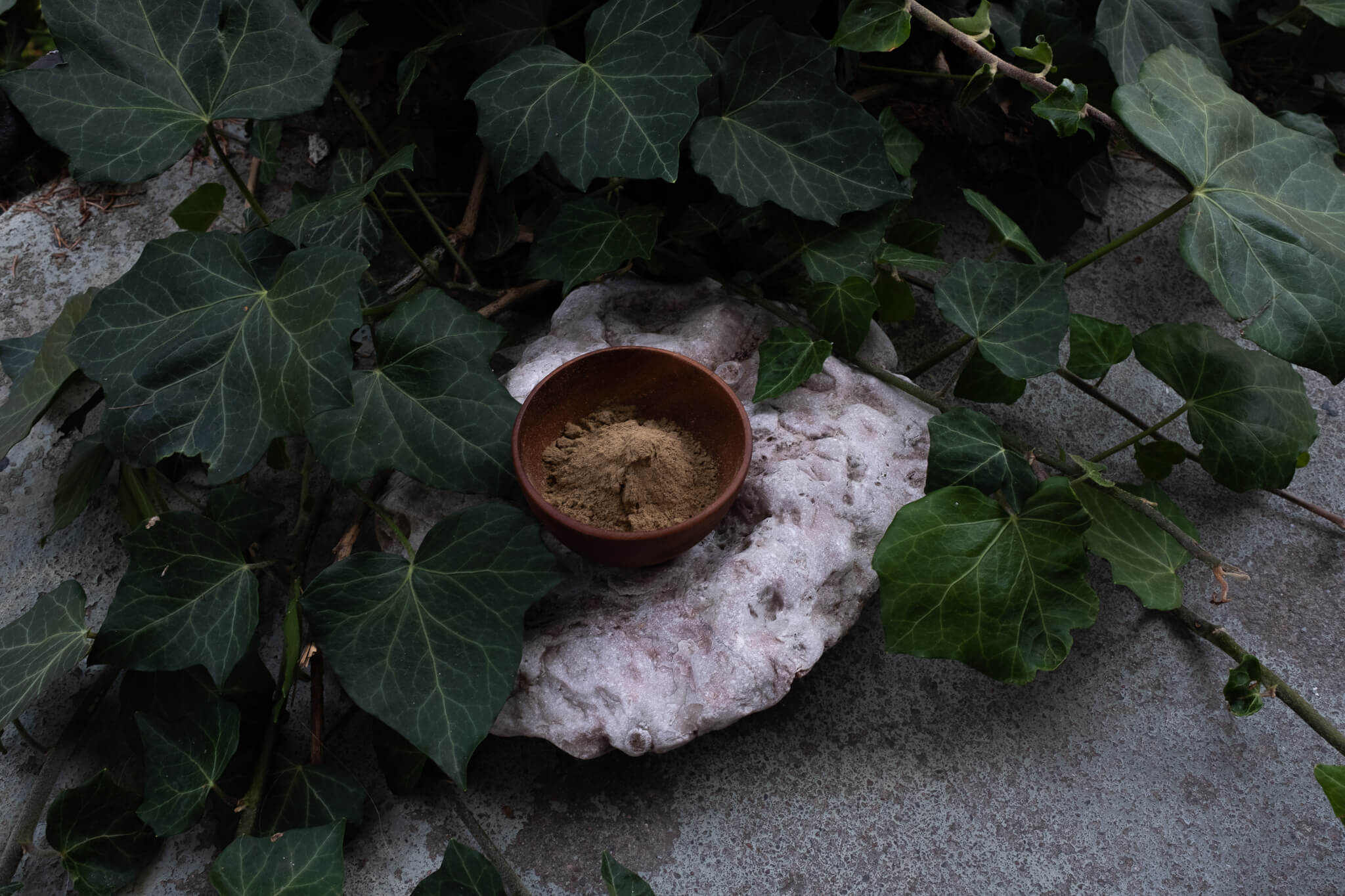 Kratomspecialisten-27