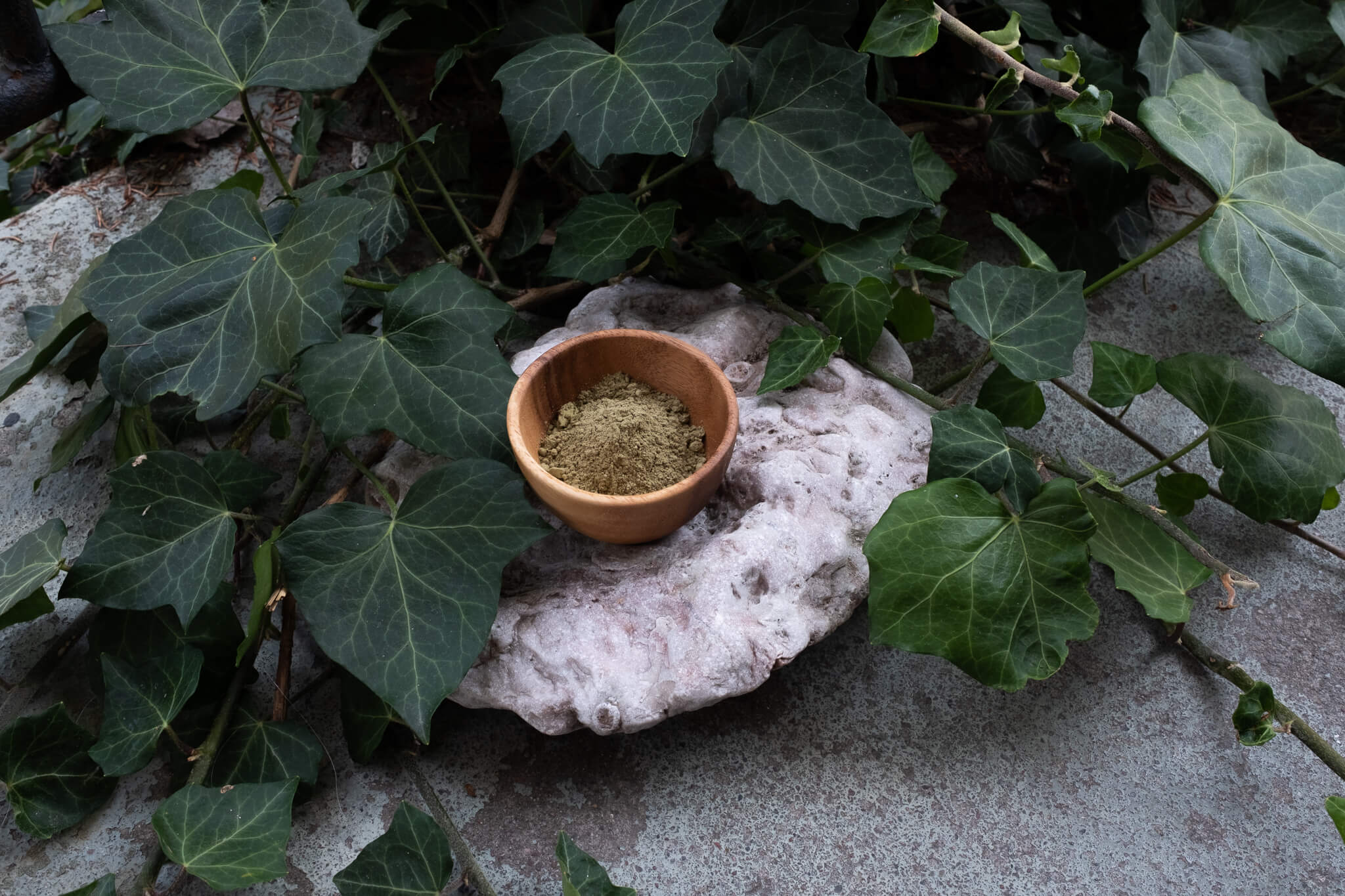 Kratomspecialisten-28