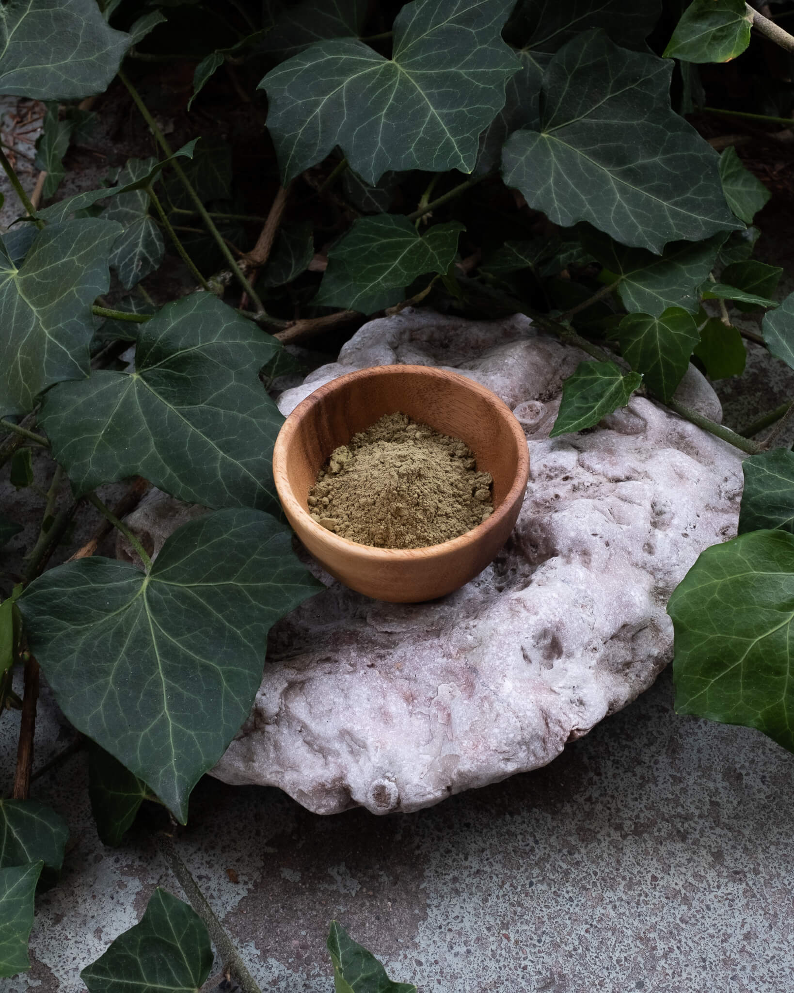 Kratomspecialisten-29