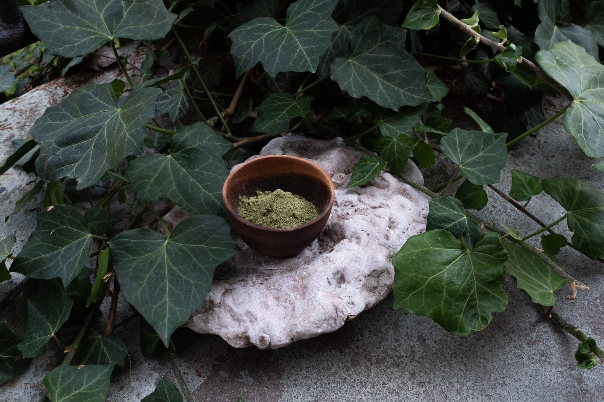 Kratomspecialisten-30