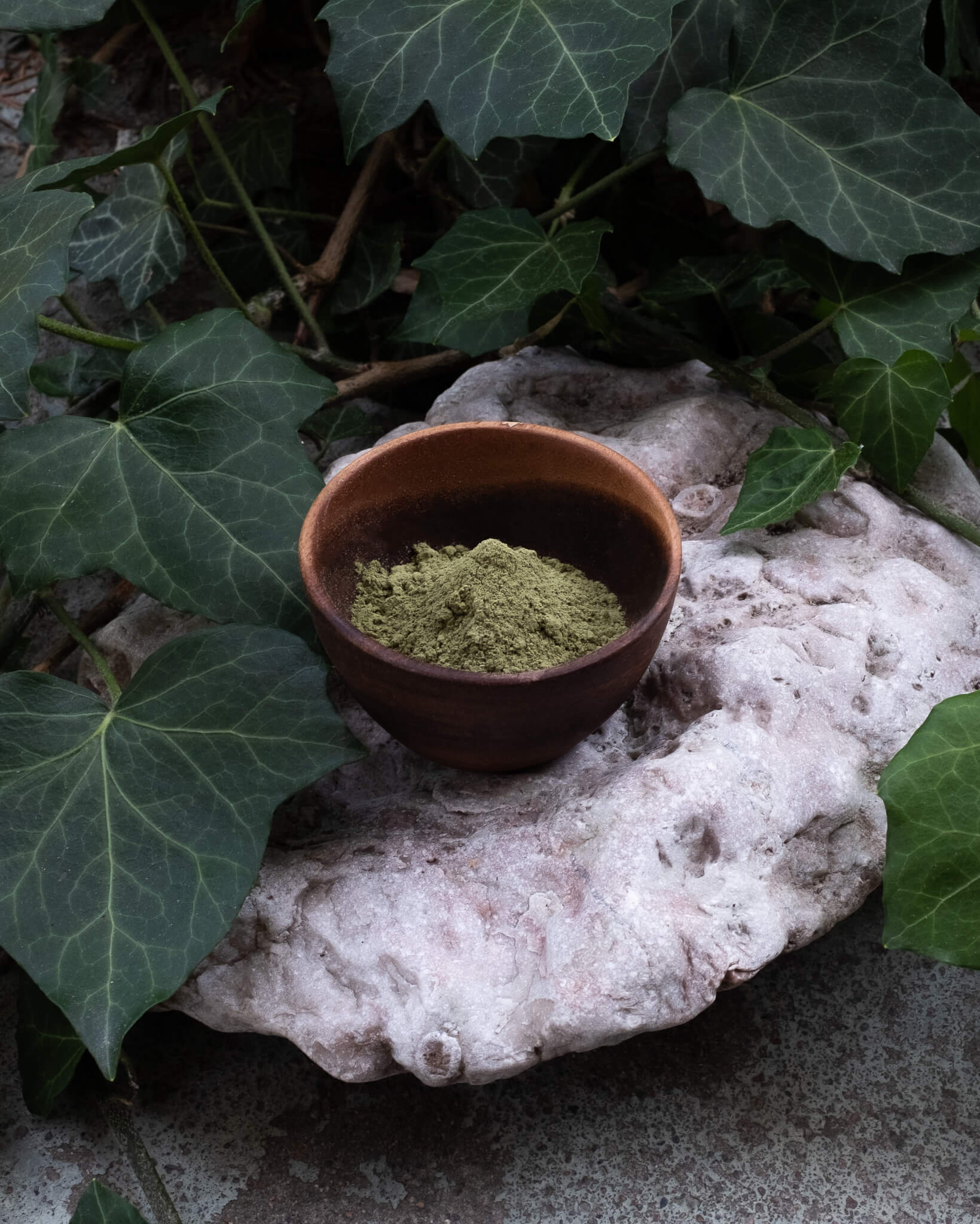 Kratomspecialisten-31