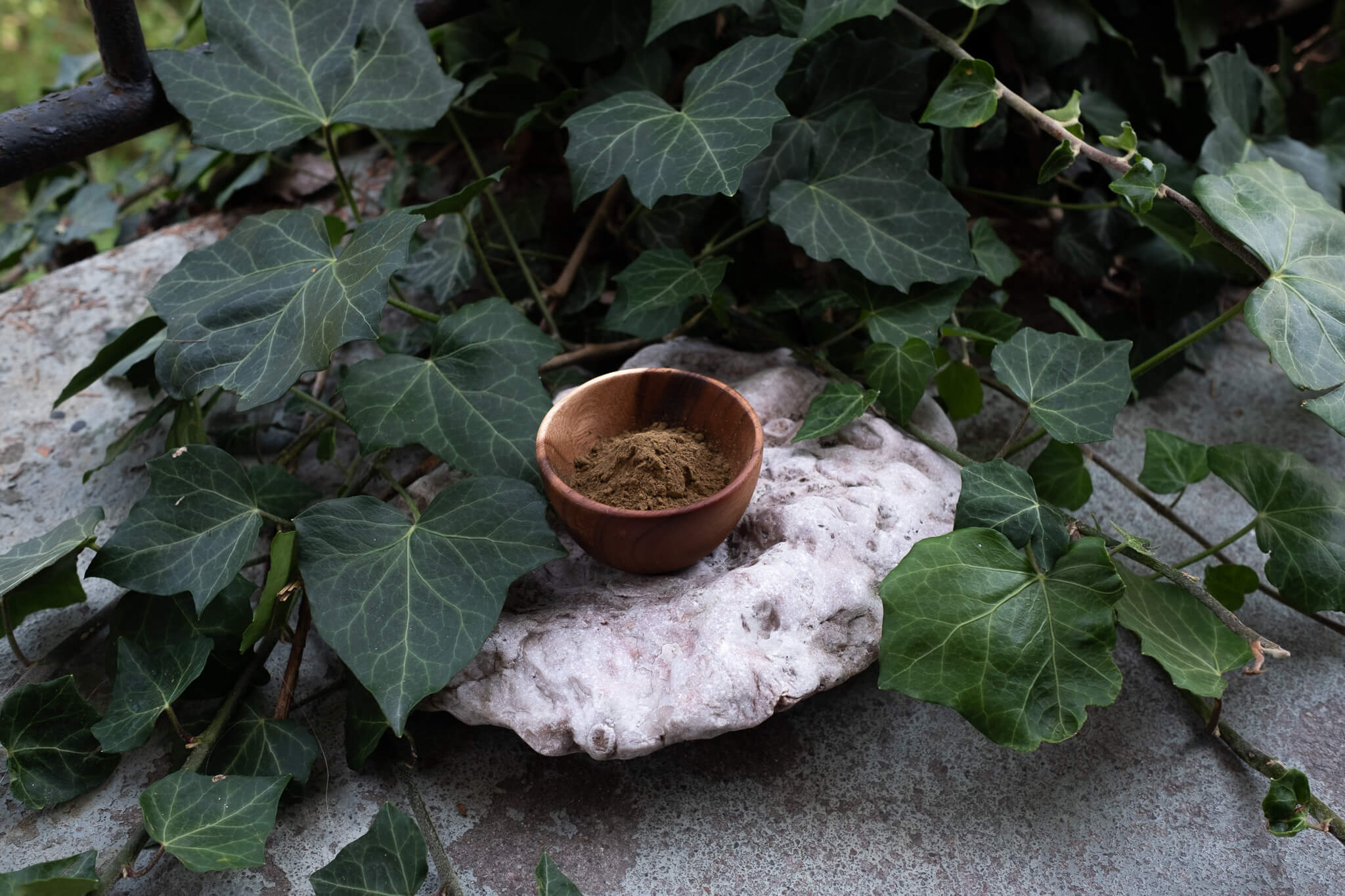 Kratomspecialisten-32